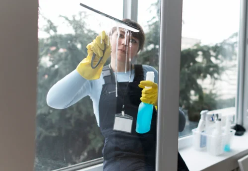 Nettoyage de vitres intérieures et extérieures à Fleurat